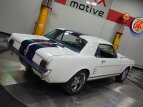 Thumbnail Photo 55 for 1966 Ford Mustang